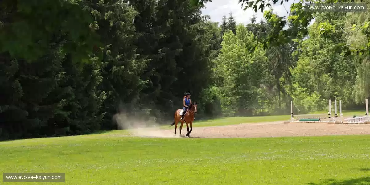 🚴骑行装备升级,征服每一公里!